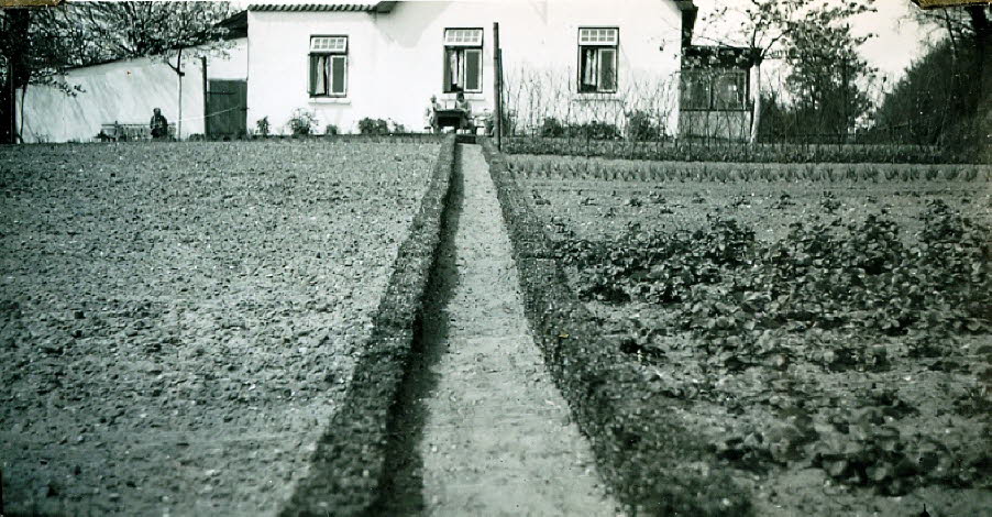 1932 Pension Stegelmann Belauer Weg