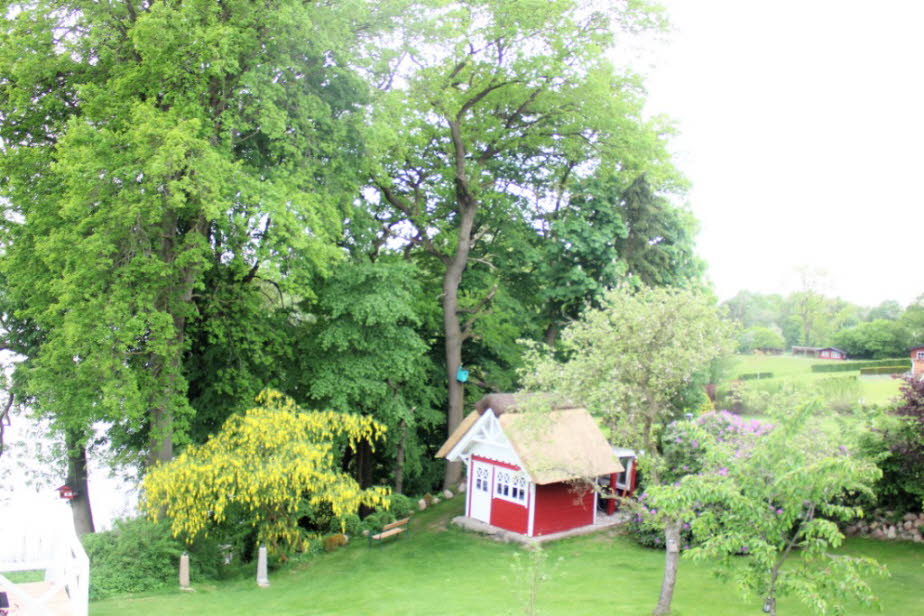 Ferienhaus mit See und Schwedenhaus Ende Mai - Goldregen-, Regedendren- und Kastanienblte (2)