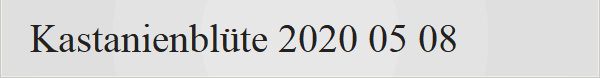 Kastanienblte 2020 05 08