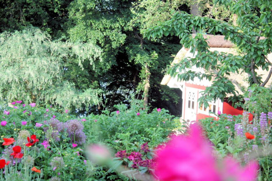 2021 Juni Bl�ten
