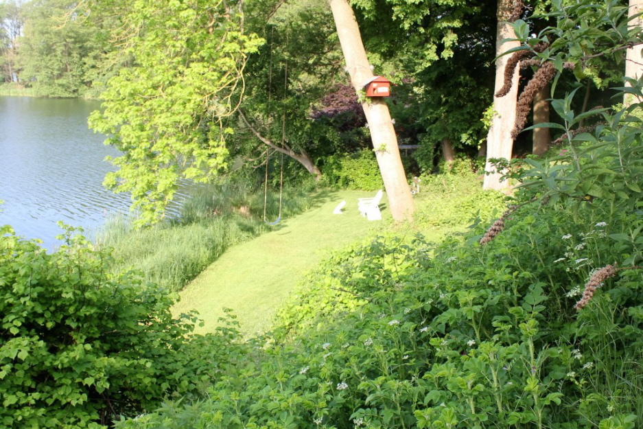 Seewiese in der Fr�hlingssonne