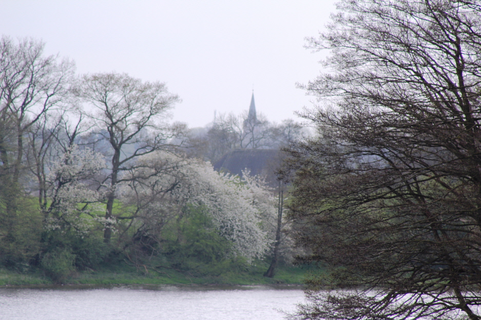 Dier Bornh�veder Kirchturm