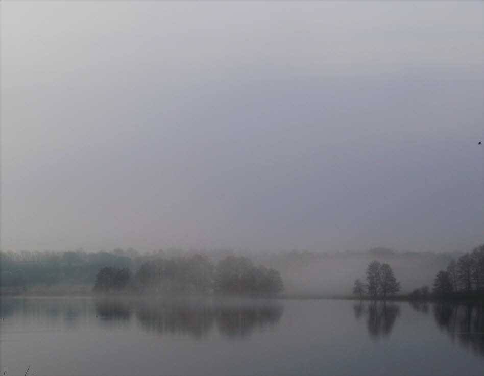 Blick aus dem Ferienhaus auf den See im Dezember
