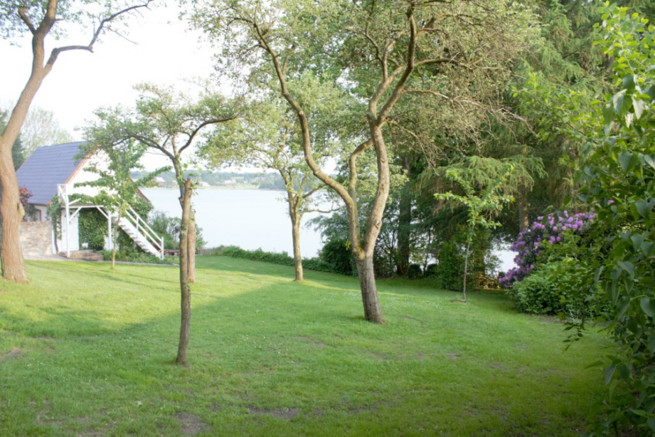 Wiese am Ferienhaus Obstgarten