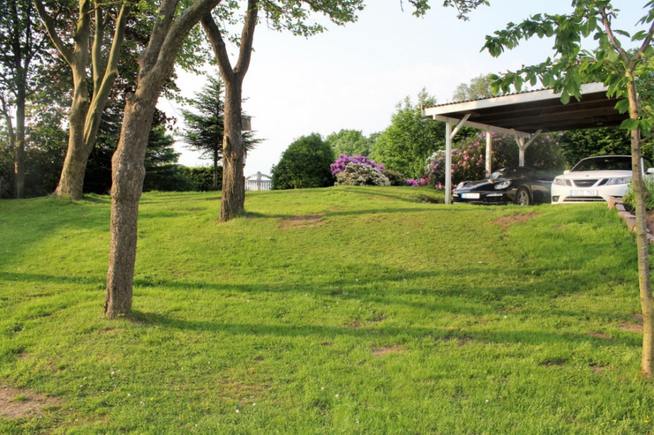 Wiese am Ferienhaus