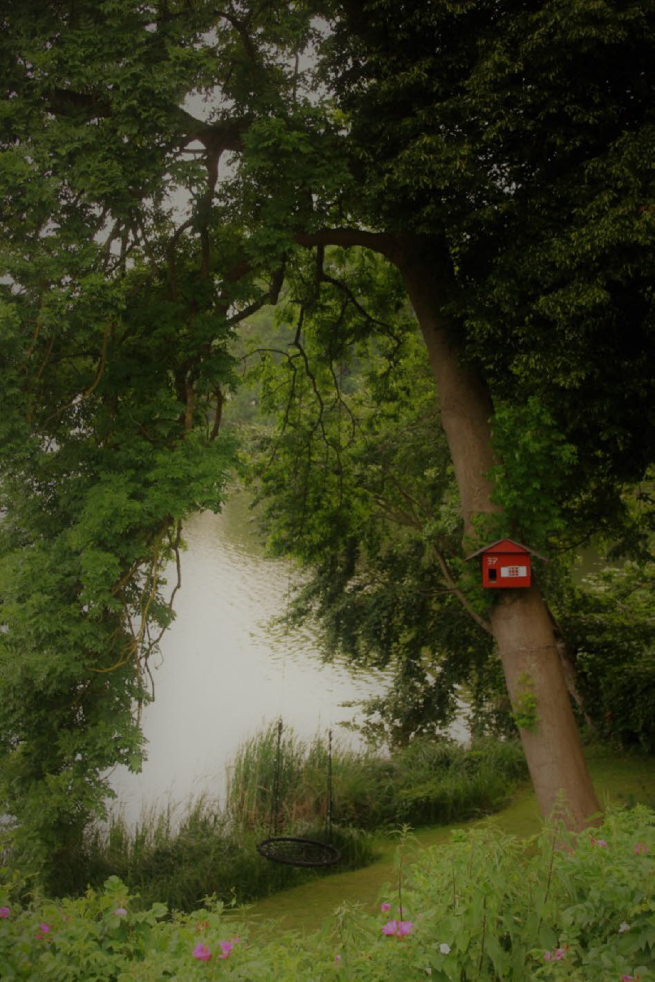 Nestschaukel am See (120 cm Durchmesser und 8 Meter hoch aufgeh�ngt) 