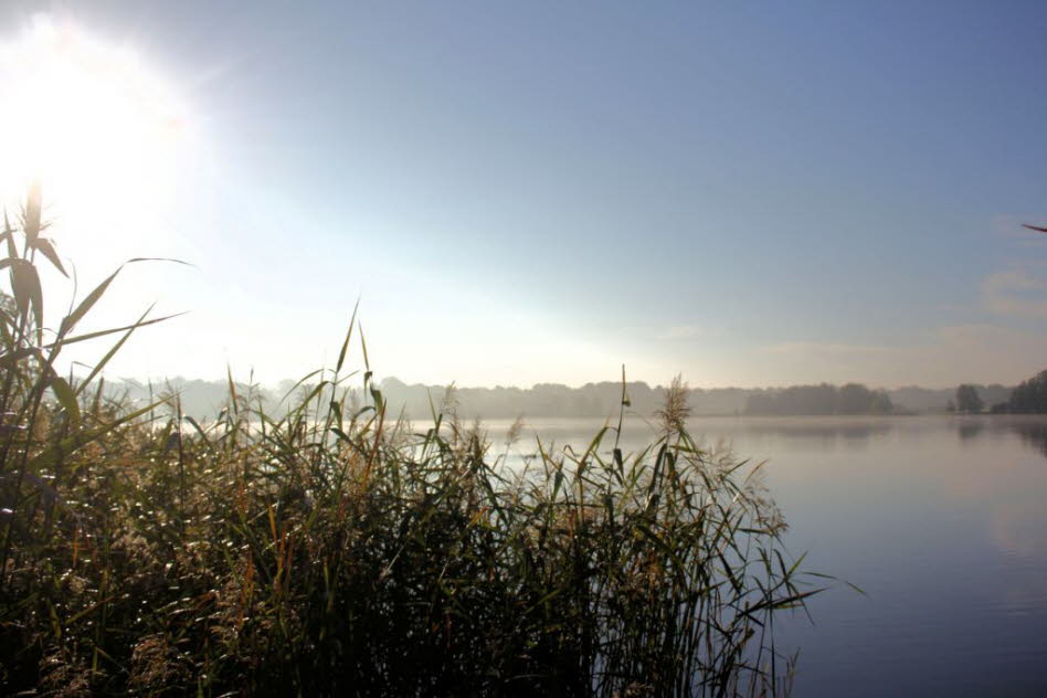 Goldener Oktober