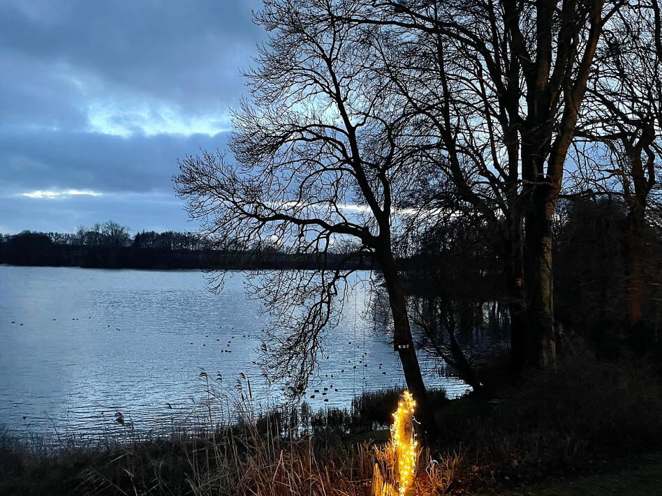 Blick aus dem Ferienhaus an einem Winterabend