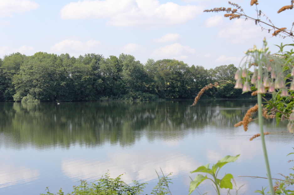Schmalensee