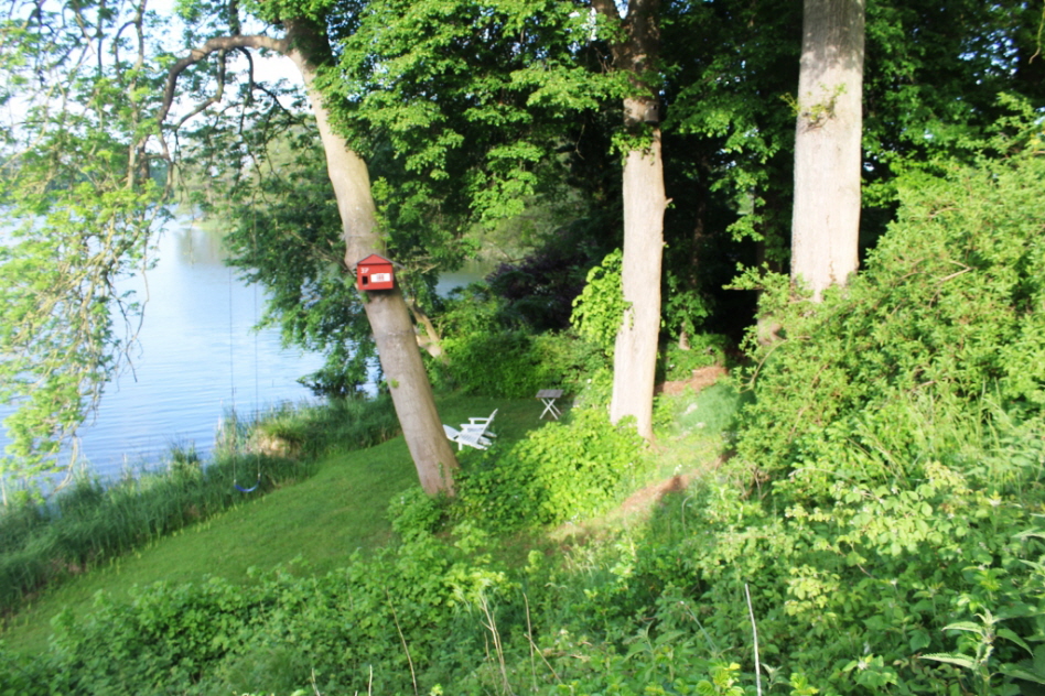 Seewiese