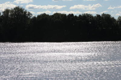 Tausend Sterne im See